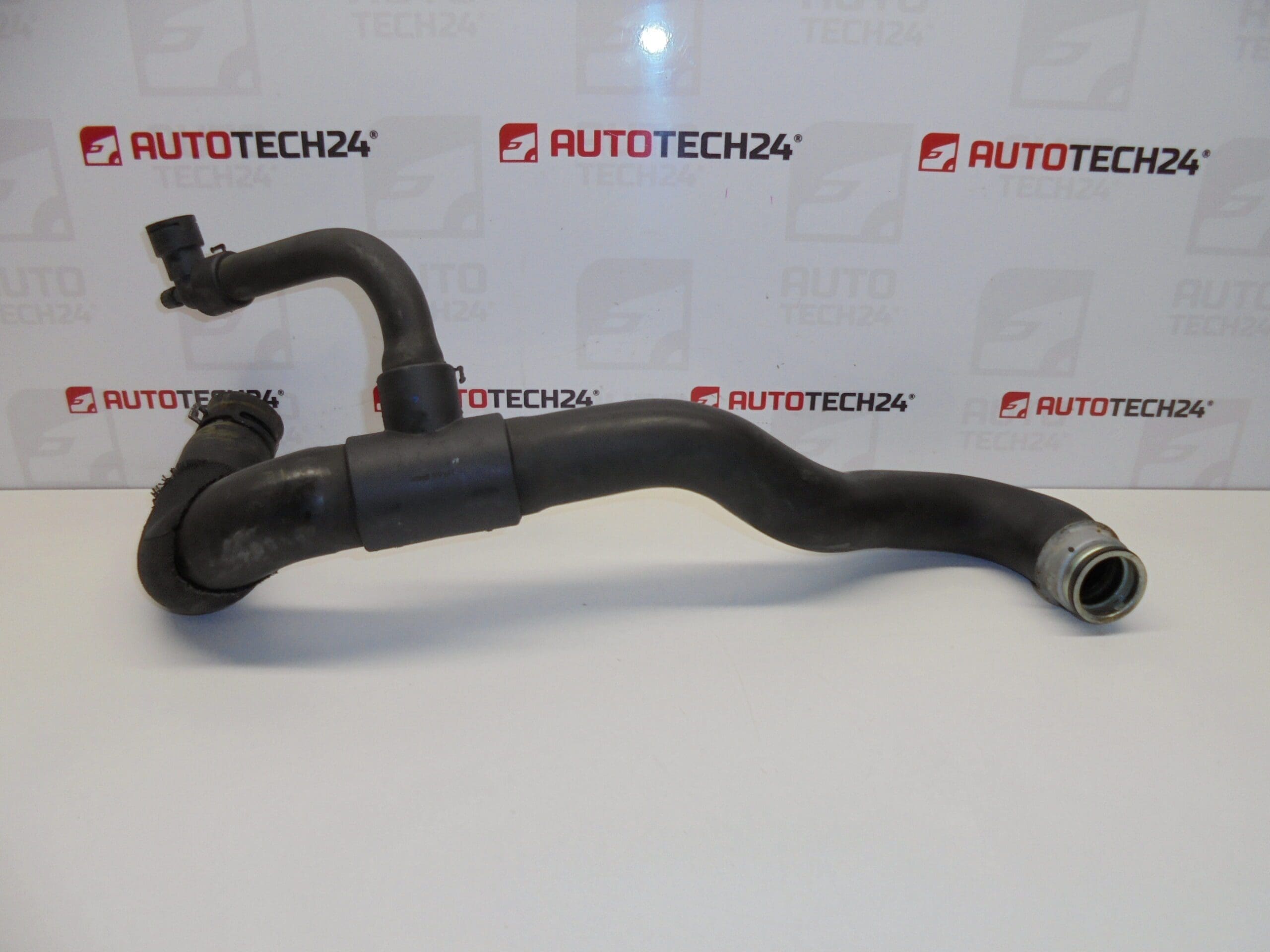 Citroën Peugeot 2.0 HDI 1351GT - Slika 2