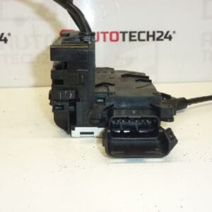 Brava na desnim vratima Peugeot 207 9136W2