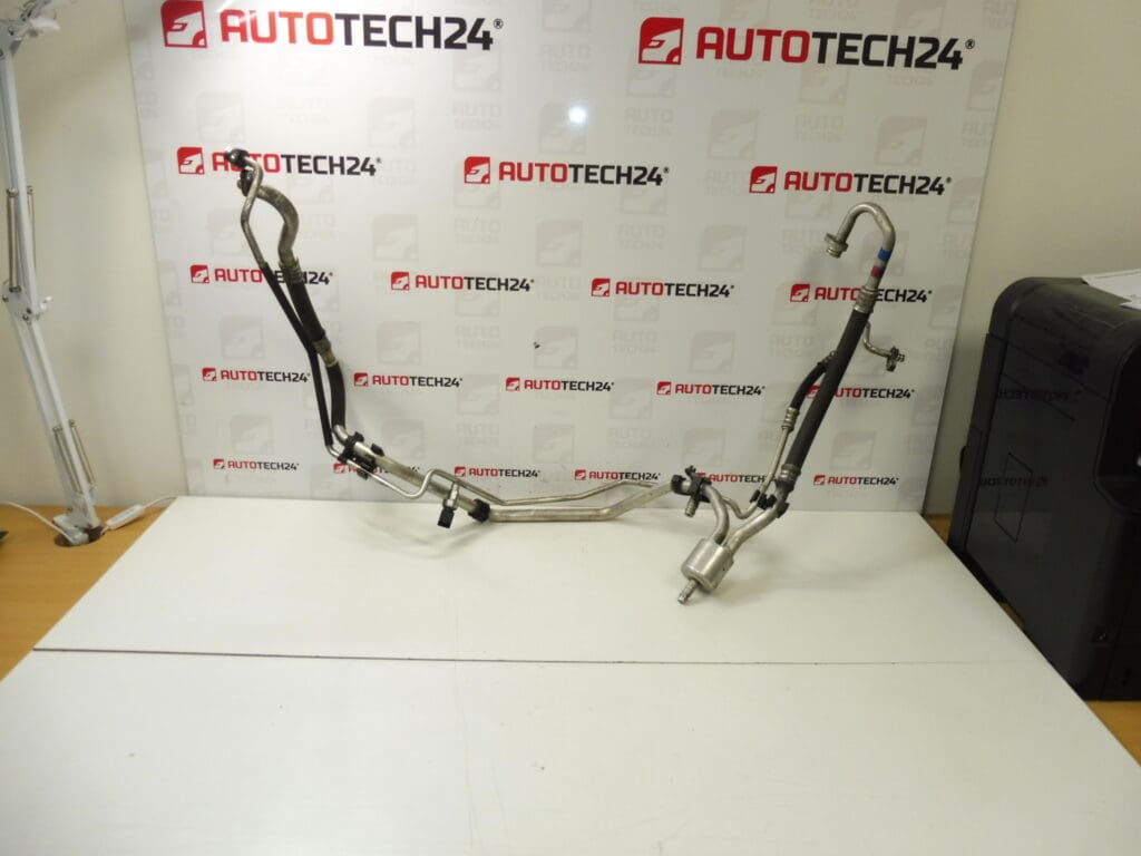 Cijev klime Citroen Peugeot 9658201080 647739