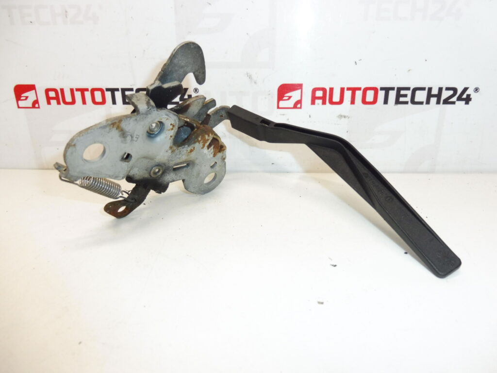 Brava poklopca motora Citroën C3 PLURIEL 793467