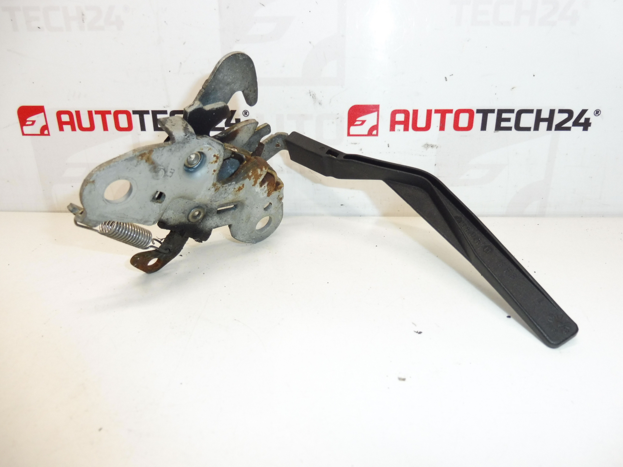 Brava poklopca motora Citroën C3 PLURIEL 793467