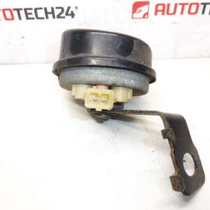 Rog roga s citroen c4 6236g3 držač