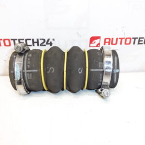 Citroën Peugeot DS 9685319980 9801280680 0382GW