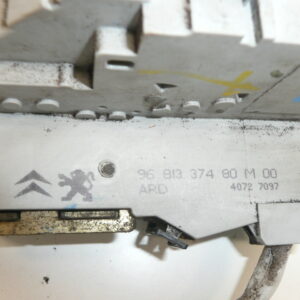 Brava na desnim vratima Peugeot 407 9681337480 9138N8