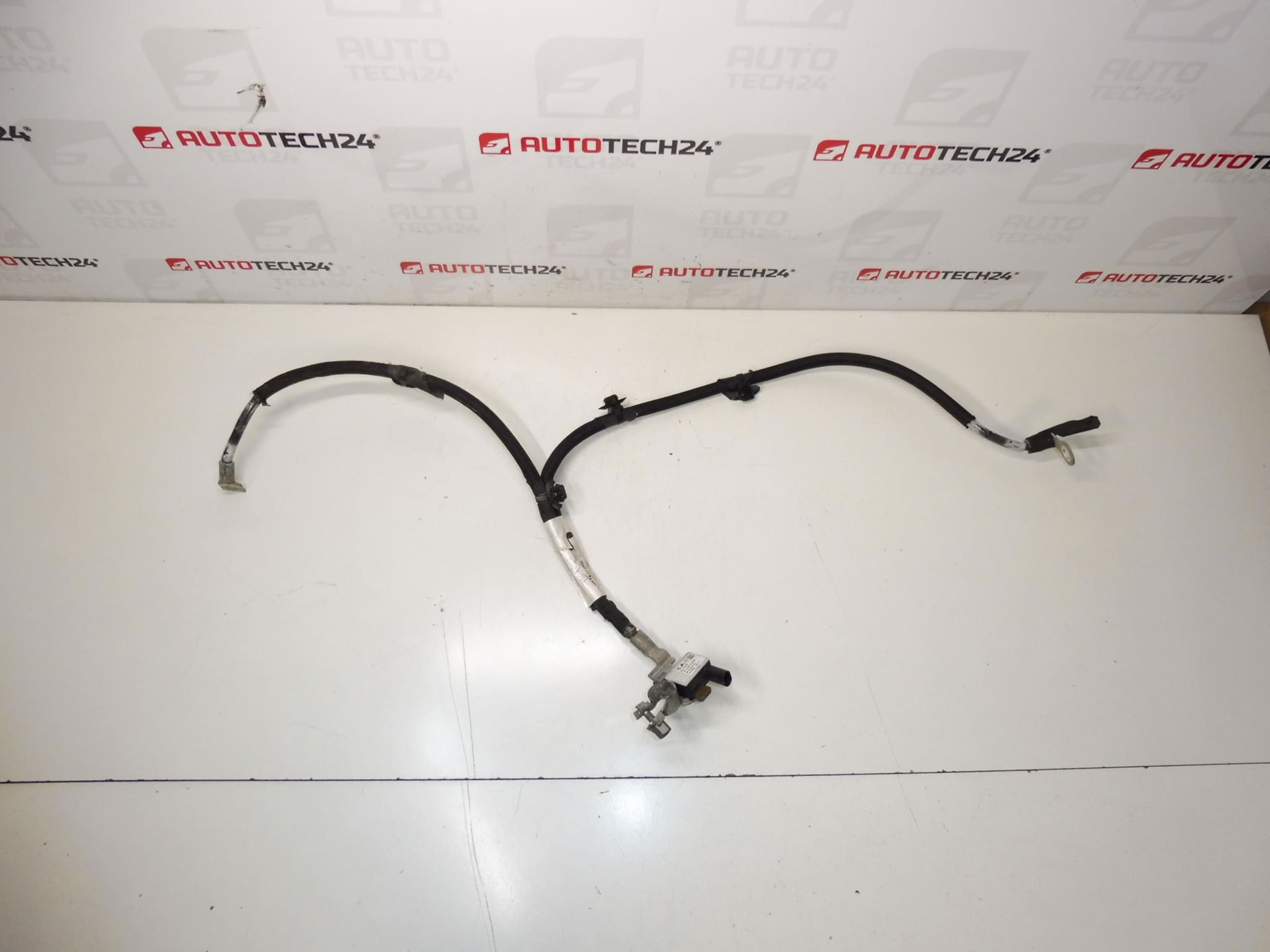 Citroën Peugeot 9816283880 negativni kabel