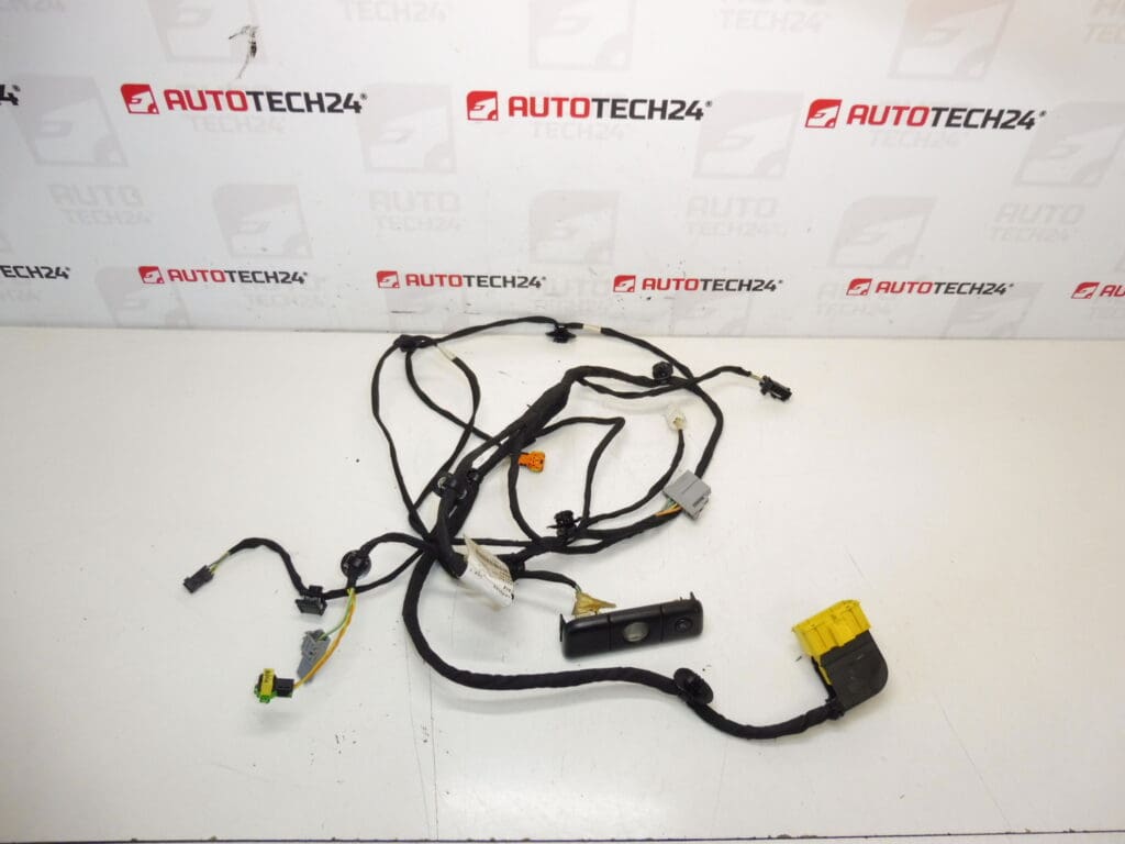Citroen C4 Picasso Valeo 6505W3 5243586