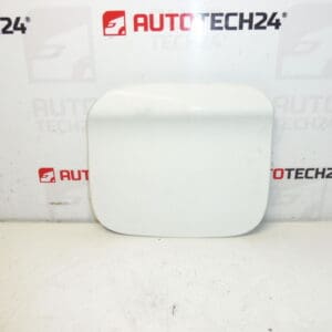 Peugeot 301 Citroen C-Elysée EWP 9677571480