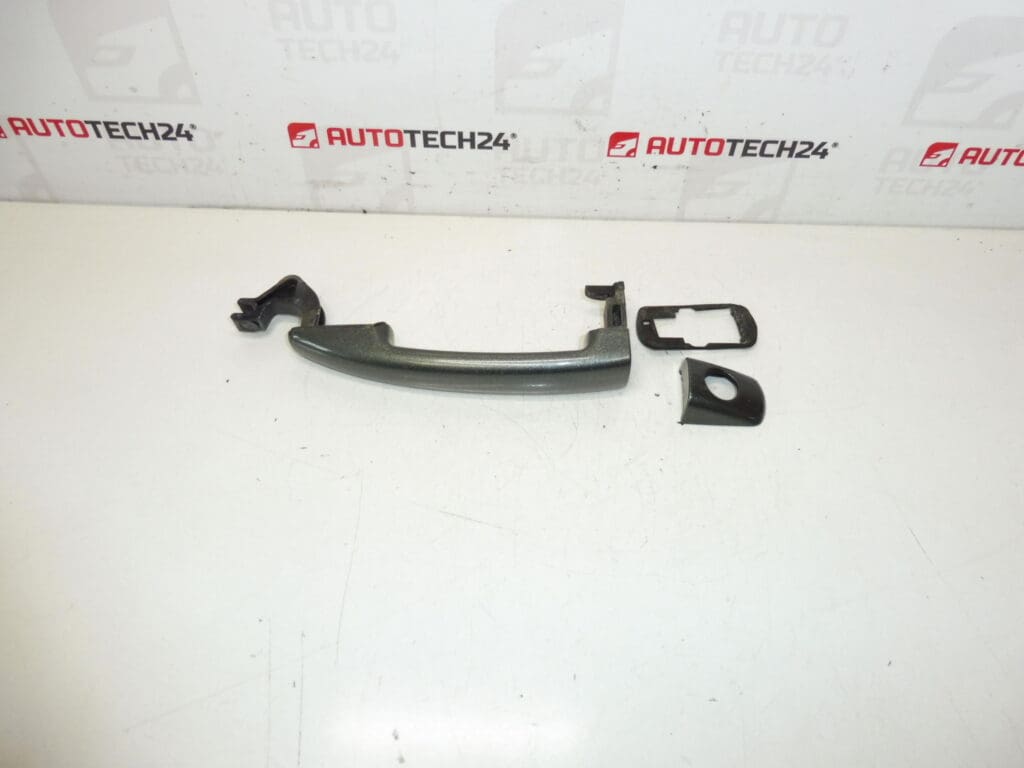 Vozač na vratima Citroën Peugeot EZQC 9101EP