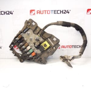 Citroën Peugeot 9675123880