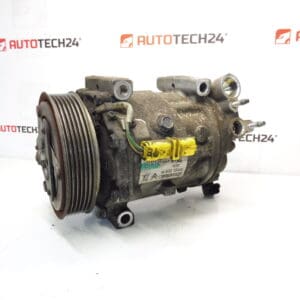 Klimakomsor Sanden SD7C16 1310F 9663315480 6453wy