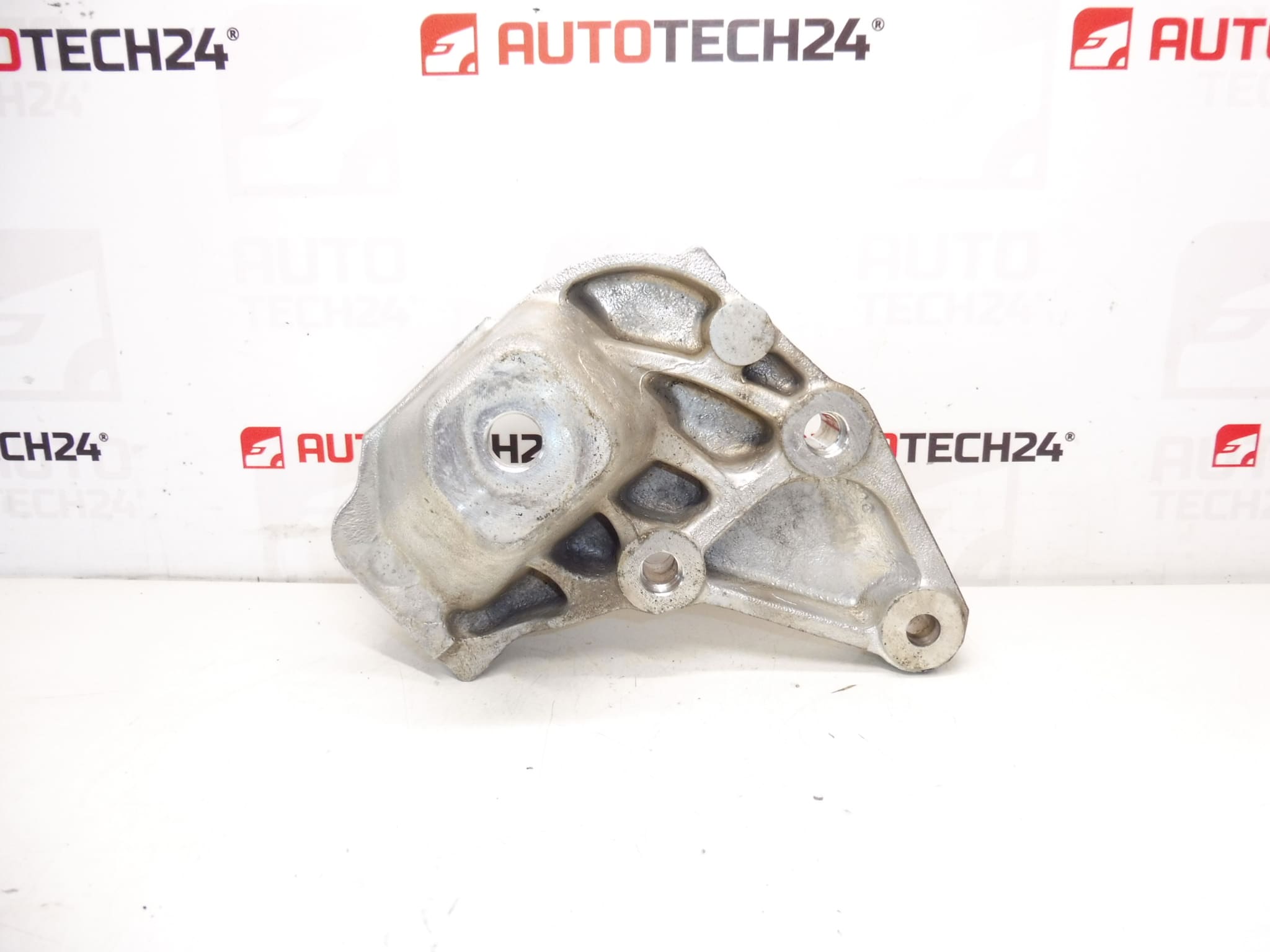 Motor šarke desno Citroën Peugeot 9647029580 1839C8