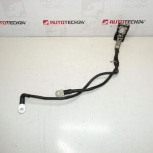 Pozitivan snop za bateriju Citroën Peugeot 1612229980