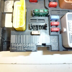 BSM L03-00 DELPHI Citroën Peugeot 9659741780