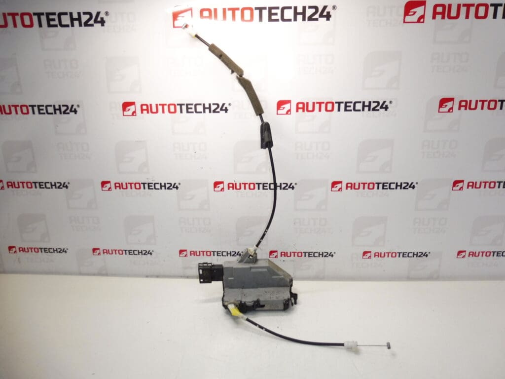 Brava na stražnjim lijevim suvozačevim vratima Peugeot 3008 5008 9800623780 9137T8