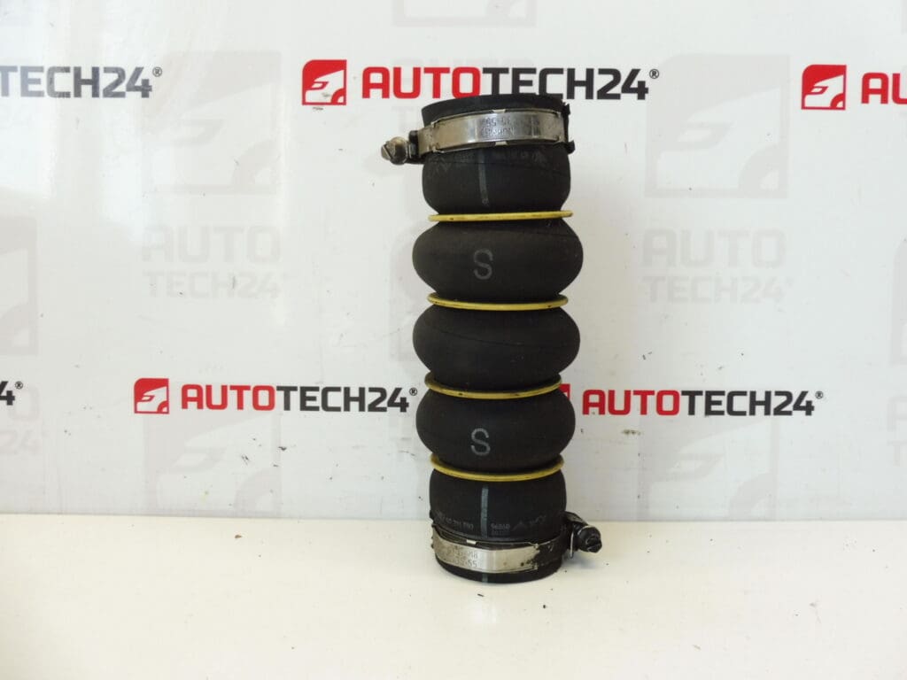 Cijev 1.6 HDI 1.2 81KW Citroën Peugeot 9686000180 0382NP