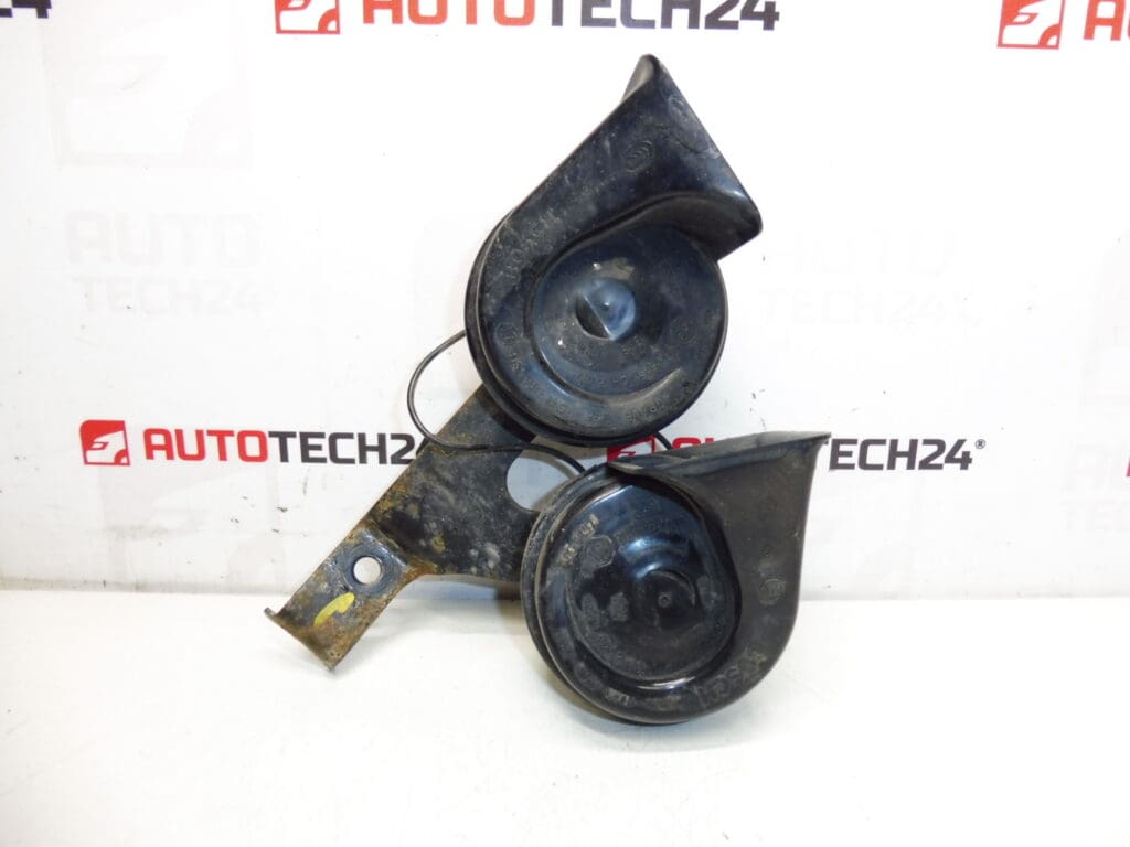 Truba sa držačem Peugeot 3008 5008 6236H9