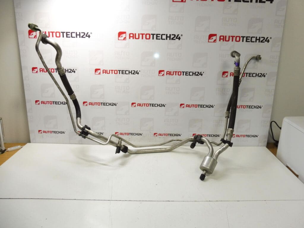 Cijev klime Citroen Peugeot 9658201480 647742