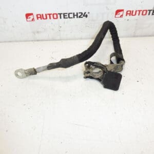 Priključni kabel + pol u Peugeot motoru 9674808180 564621