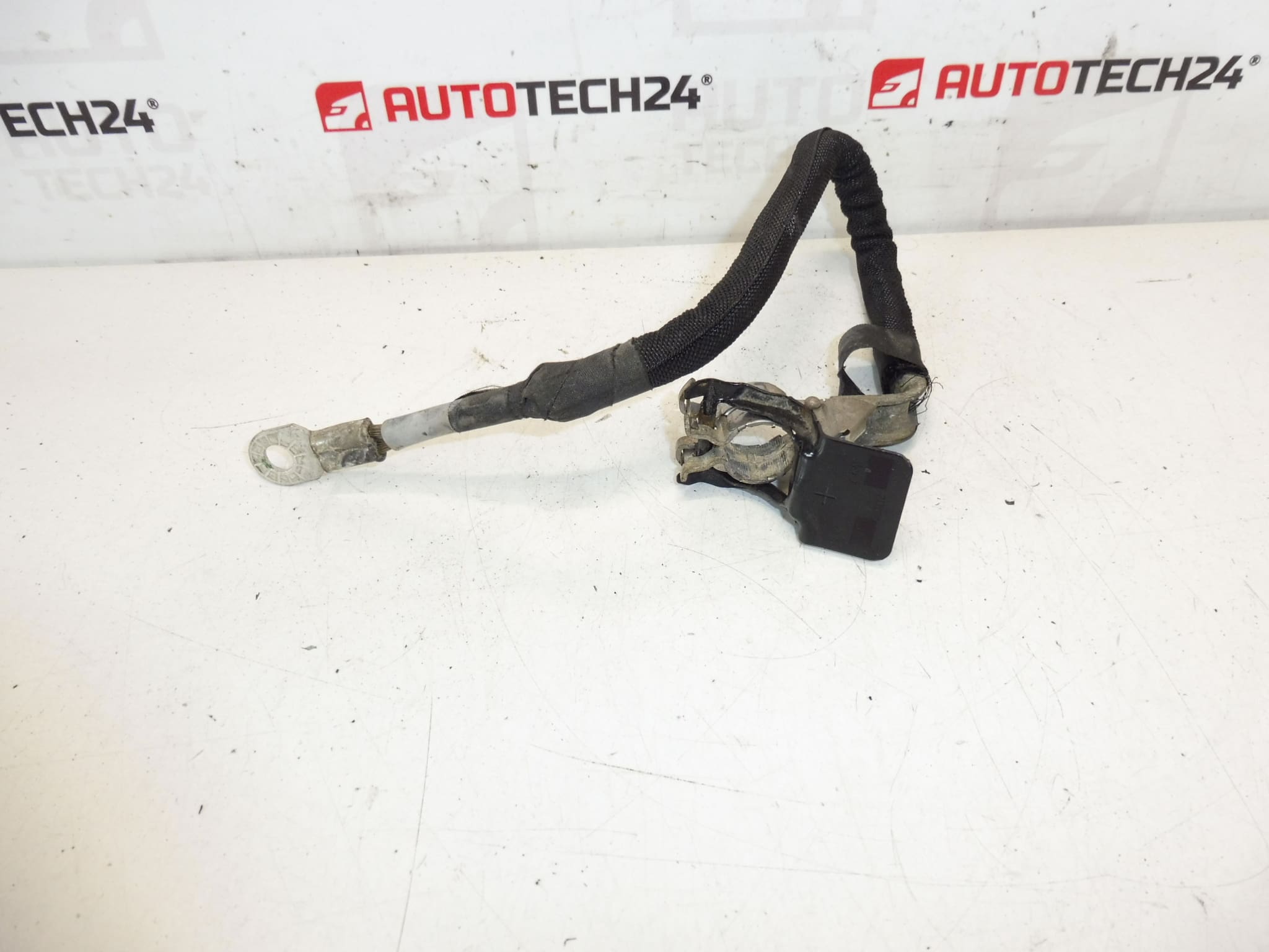 Priključni kabel + pol u Peugeot motoru 9674808180 564621