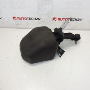 Stražnji sigurnosni pojas Citroen C3 II A51 DS3 98019948XX