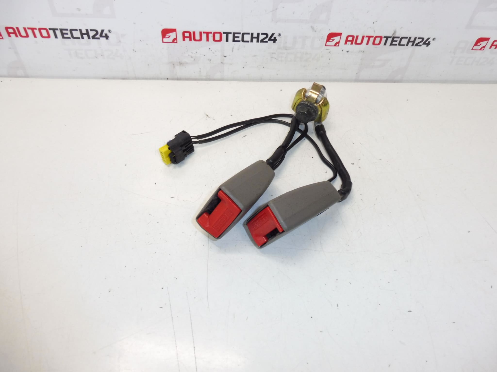 Brava sigurnosnog pojasa Citroën C5 II 8974W8