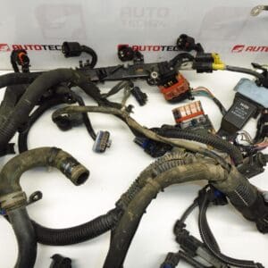 Kabelski svežanj Citroën Peugeot 1.6HDI 9687138480 9687238280 9687150780 6569XY