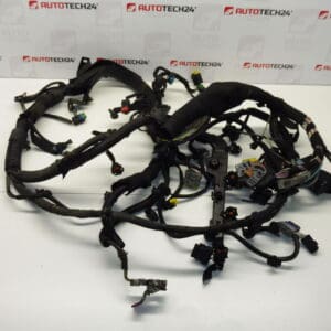 Grupa Citroën Peugeot 1.6HDI 9662415380 9662415480 6569Z0