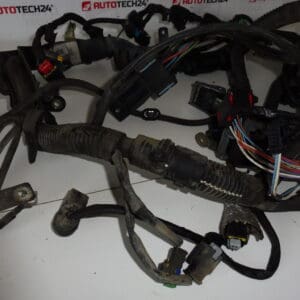 Kabelski svežanj Citroën Peugeot 1.6HDI 9687146780 6569ZW