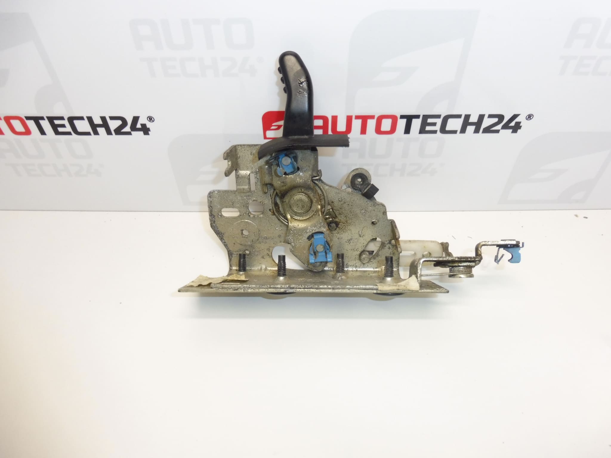 Donja desna brava vrata Citroën Berlingo II 8726F4