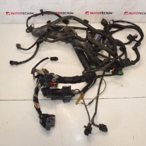 Kabelski svežanj Citroën Peugeot 2.0HDI RHJ 9684608680 6569RY
