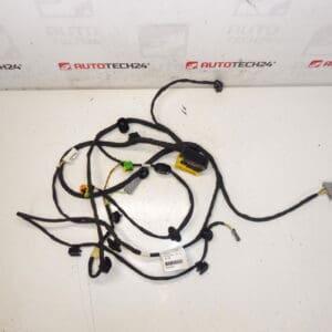 Pojas za suvozačevo sjedalo Citroen C4 Picasso Valeo 6505W1 5243584