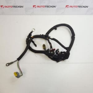 Pozitivni kabel akumulatora Citroën Peugeot 2.0 16V 9655329880 9661639980 5642GF